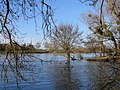 confluence Loiret-Loire