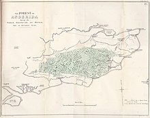 1871 map of the coast of Southeast England; central area shown as wooded