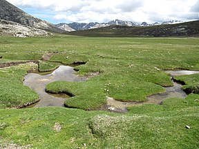 Ein Regenmoor um den Lac de Nino.