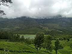 Landscape view of Echo Point Munnar, Kerela, India.jpg