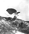 Otto Lilienthal's wing No. 3 (1891)