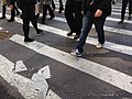 File:Road marking tapes on a New York City street.jpg