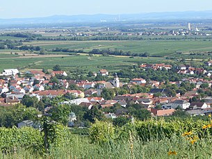 Ansicht des Hauptortes vom Gaisberg aus