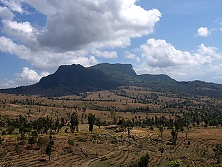 Reisfelder in Viqueque mit dem Monte Mundo Perdido im Hintergrund