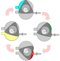 Description of the cycle