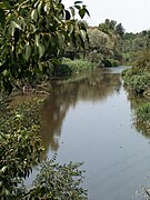 (MAD) Río Jarama-A2-1.jpg