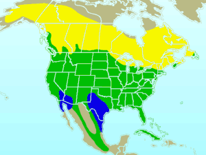 Arealo (flave: somerejo, blue: vintrejo kaj verde: konstanta loĝado)