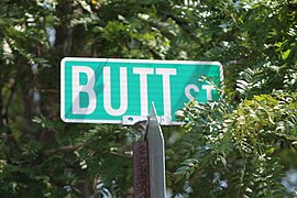 Butt Street sign.JPG