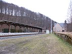 Bahnhof Hartenstein (Sachs) mit Bahnsteigen (2016)