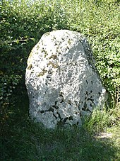 Menhir de l'Aurière.