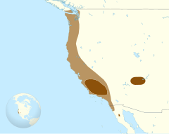 Mapa de distribuição do condor-da-califórnia nos Estados Unidos e México.