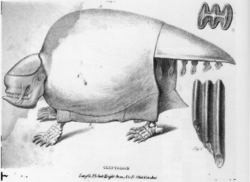 La reconstrucció de Glyptodon de Richard Owen a partir de 1838.