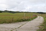 Thumbnail for File:Pasture in NP Vorpommersche Boddenlandschaft north of Hiddensee 2021-09-17 10.jpg