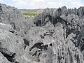 Réserve naturelle intégrale du Tsingy de Bemaraha