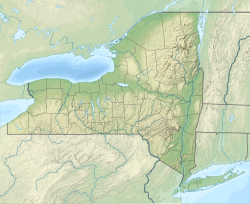 Albany is located in New York