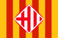 Official flag (1996–2004)