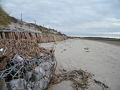 La préservation des digues du parc du Marquenterre nécessite des confortements réguliers.