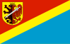 Bandeira do Condado de Radziejów