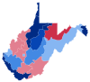 2002 West Virginia Senate Election