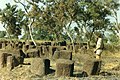 Image 28Megalithic alignments in Senegal (from History of Senegal)