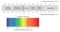 Thumbnail for version as of 13:25, 5 May 2020