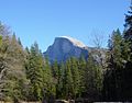 Half Dome from Sentinel Bridge