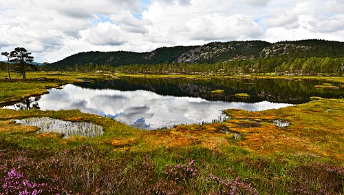 Hovassdalen. Plassering forklart, ellers lite info i WC. Tatt med i oppslag. Klassisk, pent, om ikke så skarpt som man kunne ønske, og kanskje litt mørkt. Behandlet i PhotoScape. Bruker: Geir Daasvatn.