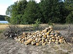 Lesesteinhaufen im Naturschutzgebiet Sacrower See und Königswald (Potsdam)