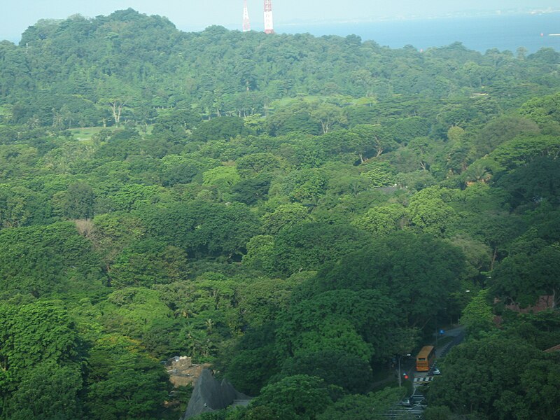 File:Sentosa viewed from the Carlsberg Sky Tower, Singapore - 20060716-01.jpg