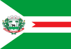 Flag of Campo Belo do Sul