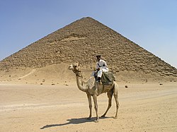 Poliziotto a dorso di cammello sullo sfondo della piramide rossa della necropoli di Dahshur