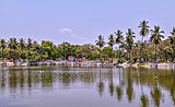 View of the pier on the lake