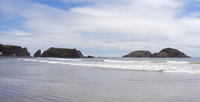 Beach of Puñihuil, islands in the background