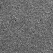 Scanning electron image of paper made from stone material - 100x.jpg