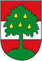 The arms of Dornbirn feature pears, Birn in German