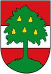 Blason de Dornbirn