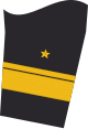 Dienstgradabzeichen eines Konteradmirals (Truppendienst) auf dem Unterärmel der Jacke des Dienstanzuges für Marineuniformträger