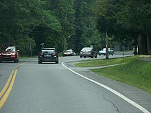 Ground-level view of a road surrounded by many trees.