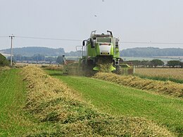 De achterkant van een groene maaidorser. De gewasresten (stro) komen er aan de achterkant op rijen uit.