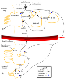 Control of stomach acid