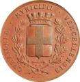 Medaglia commemorativa "Luigi Bruzza"