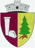 Wappen von Băuțar