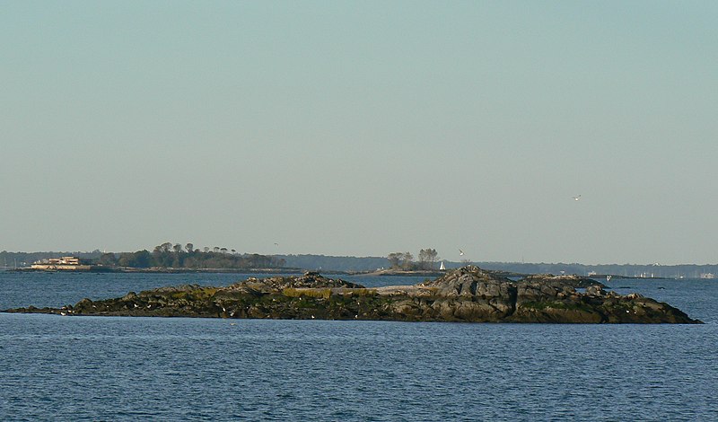 File:Rat island.JPG