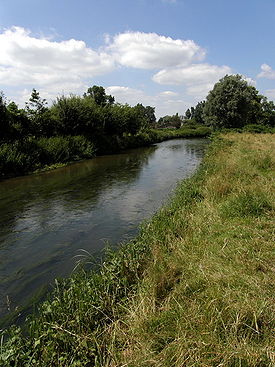 Rio Reyssouze em Viriat, a jusante de Bourg-en-Bresse