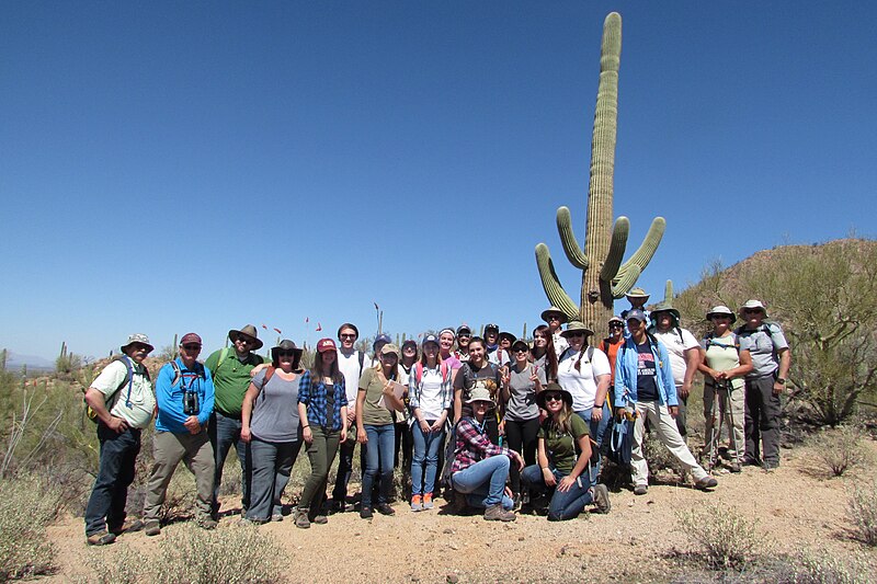 File:Members of REI surveyed saguaros on Plot 38 for the Centennial Saguaro Survey program. (3ccae9b7-1dd8-b71b-0b54-ca70bde36dcd).JPG