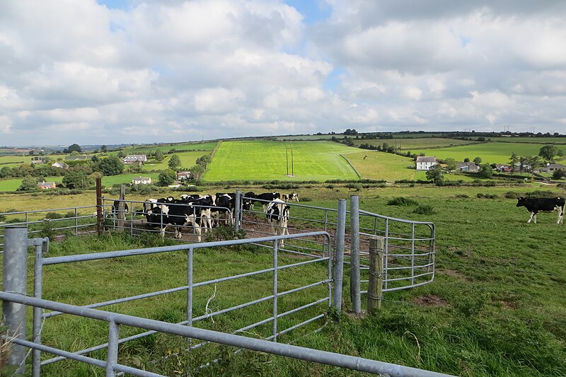 File:Along the Lower Road - geograph.org.uk - 4658254.jpg