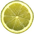 cut lime