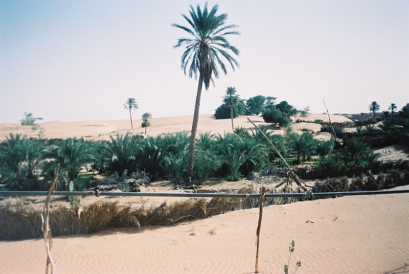 File:Chinguetti oasis.jpg