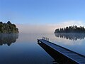 25. Reggeli pára a Mapourika-tónál (Új-Zéland) (javítás)/(csere)