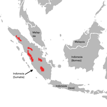 Distribution of the Sumatran tiger